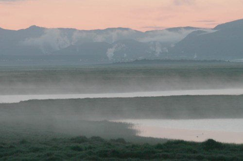 Nótt í friðlandinu í Flóa á suðurlandi