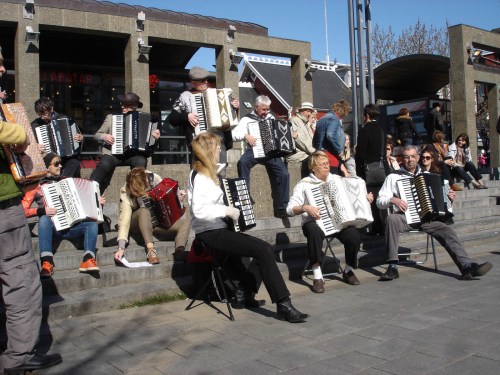 Accordion concert